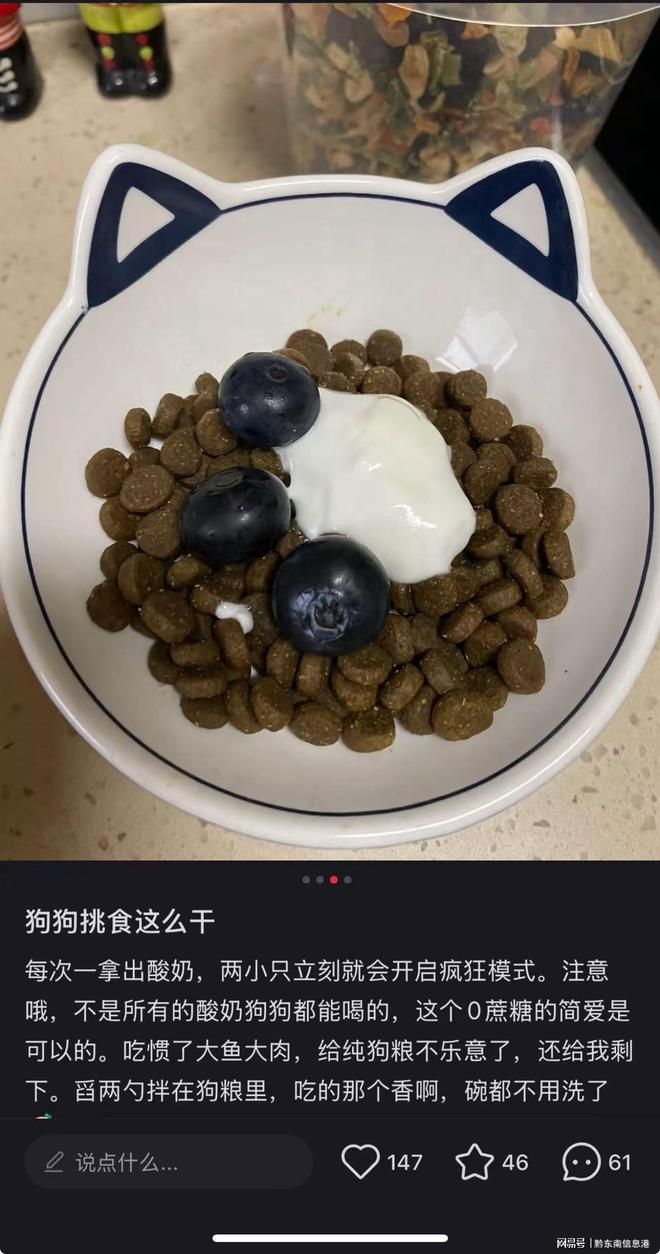 方”撬动萌宠经济与母婴信任双赛道开元ky棋牌简爱酸奶以“纯净配