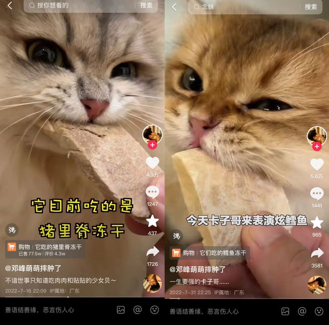 Top3这条千亿赛道杀出一匹黑马开元棋牌app年销2亿抖音类目(图8)