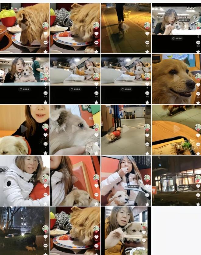 正脸曝光是惯犯逆天言论被扒还在旅游开元ky棋牌女子带狗上桌吃肉后续：(图3)