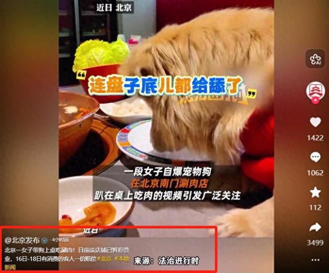 正脸曝光是惯犯逆天言论被扒还在旅游开元ky棋牌女子带狗上桌吃肉后续：(图15)